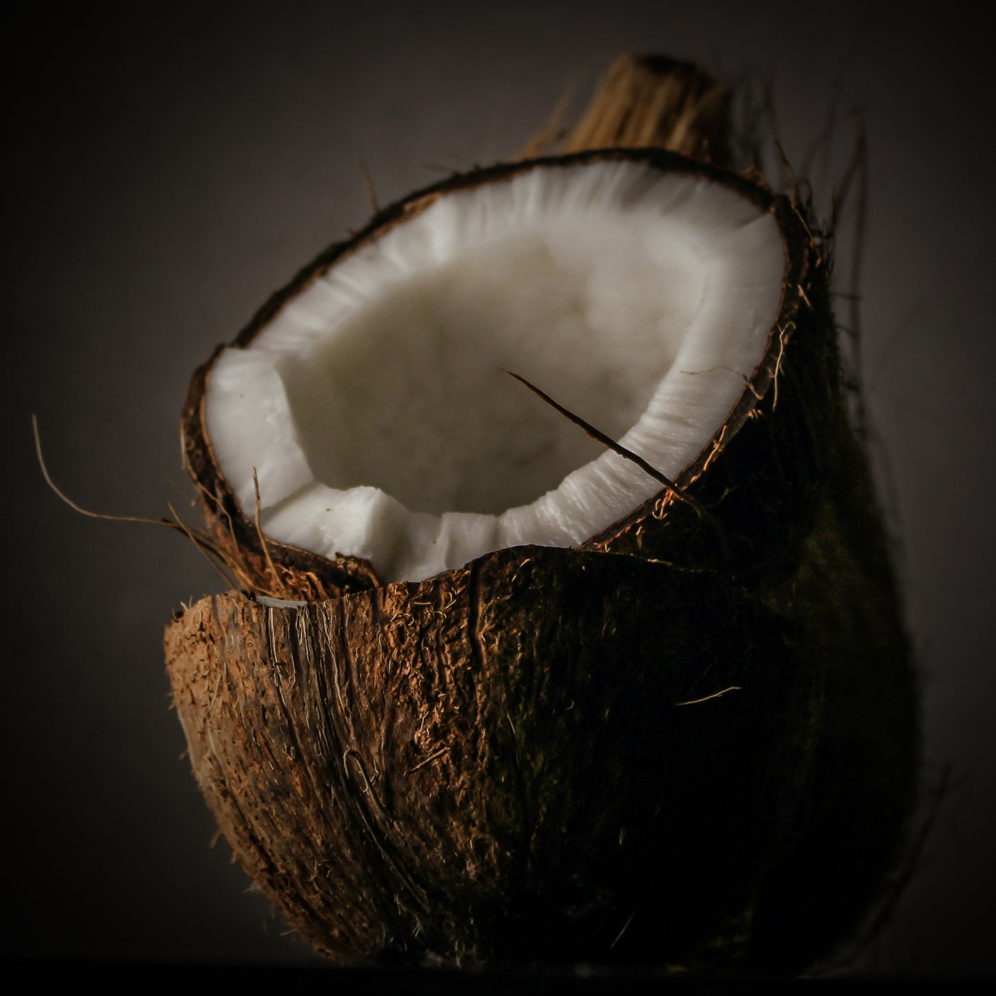 Toccata & Fougère™ Creamy Coconut Hand-Dipped Incense