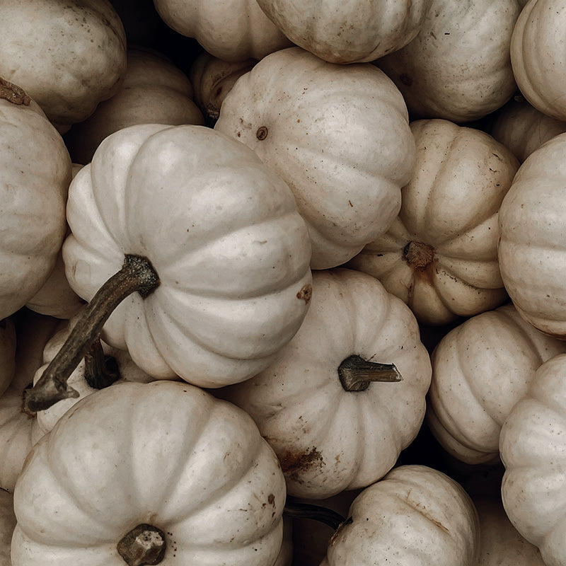 Toccata & Fougère Ghost Pumpkin Apothecary Candle