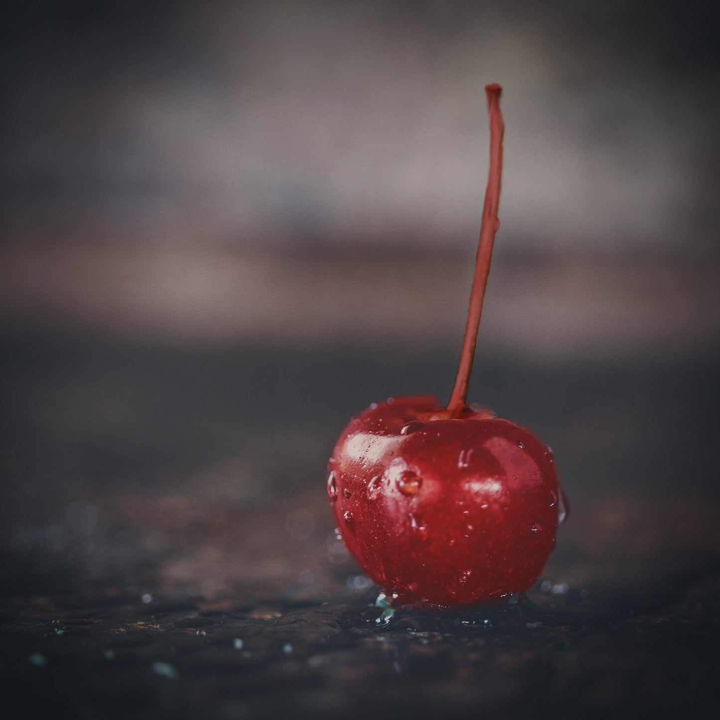 Toccata & Fougère™ Maraschino Hand-Dipped Incense