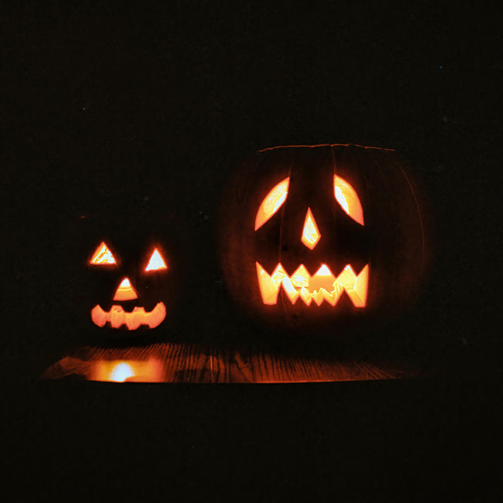 Autumn Picks