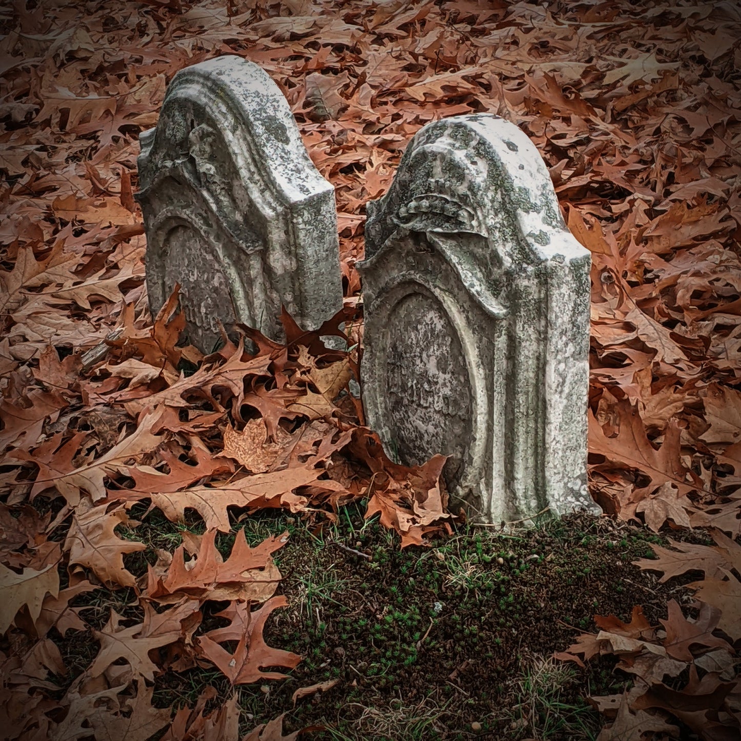 Toccata & Fougère™ Graveyard Dirt Hand-Dipped Incense