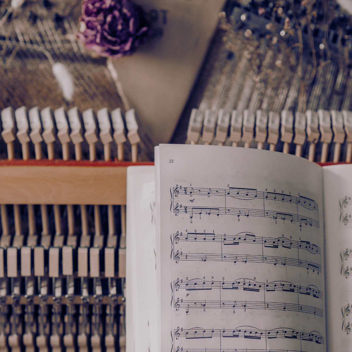 Toccata & Fougère™ Nocturne Hand-Dipped Incense
