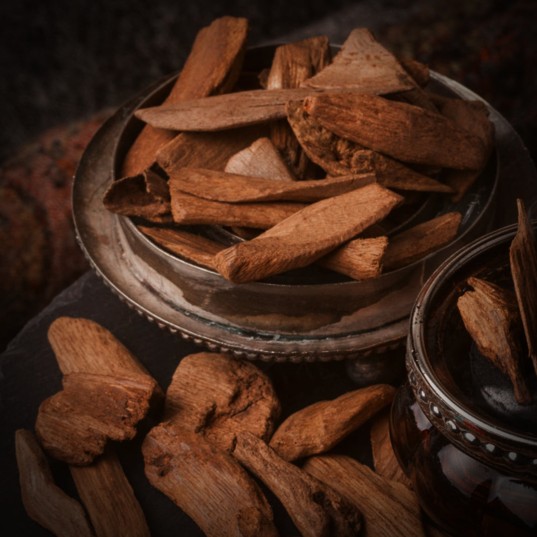Toccata & Fougère™ Santal Hand-Dipped Incense